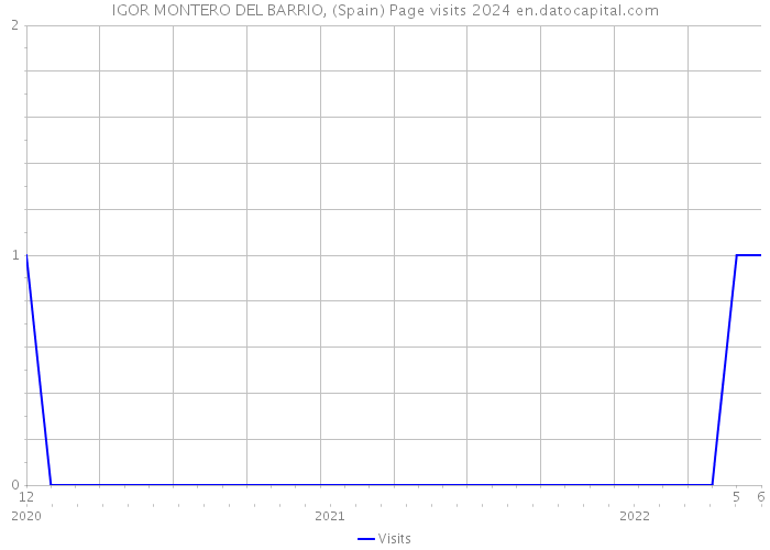 IGOR MONTERO DEL BARRIO, (Spain) Page visits 2024 