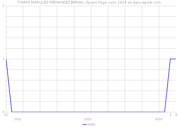 TOMAS MARQUES FERNANDEZ BERNAL (Spain) Page visits 2024 