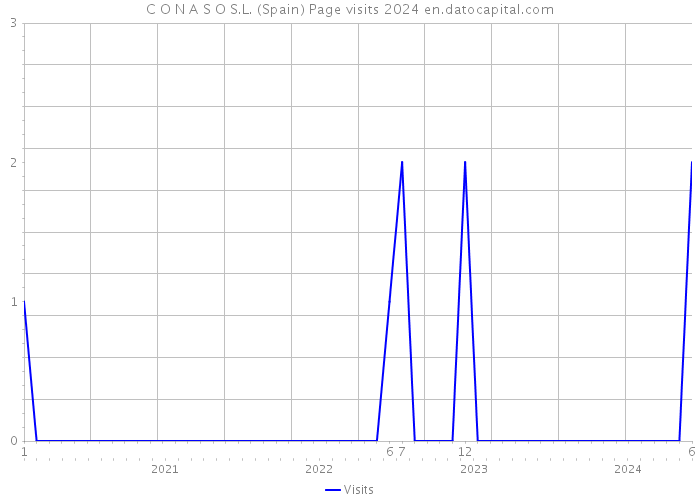 C O N A S O S.L. (Spain) Page visits 2024 