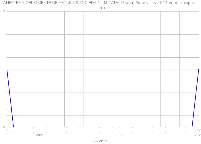 ANESTESIA DEL ORIENTE DE ASTURIAS SOCIEDAD LIMITADA (Spain) Page visits 2024 