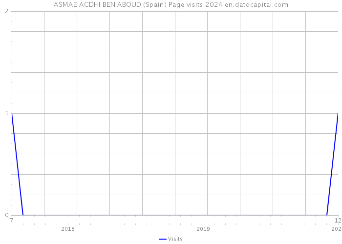 ASMAE ACDHI BEN ABOUD (Spain) Page visits 2024 