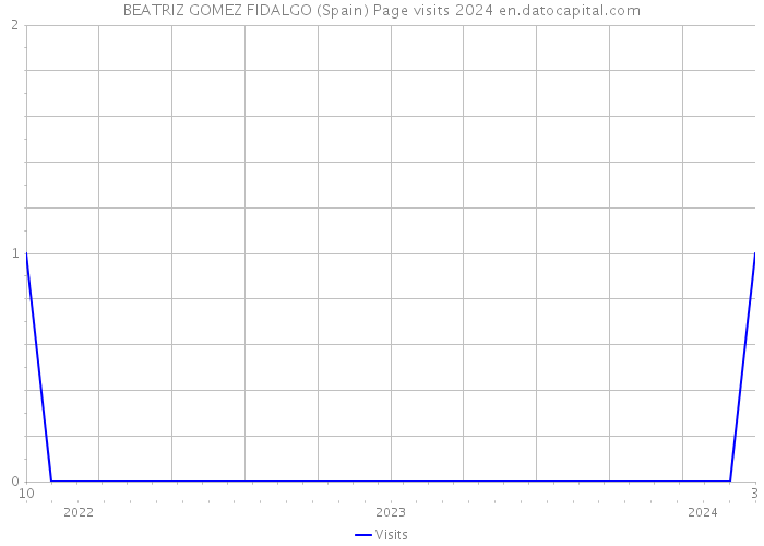 BEATRIZ GOMEZ FIDALGO (Spain) Page visits 2024 