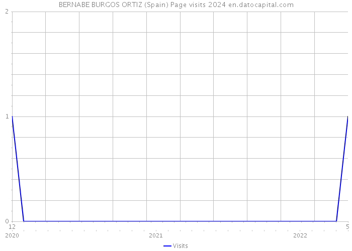 BERNABE BURGOS ORTIZ (Spain) Page visits 2024 