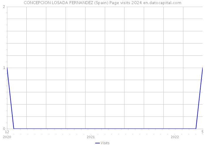 CONCEPCION LOSADA FERNANDEZ (Spain) Page visits 2024 