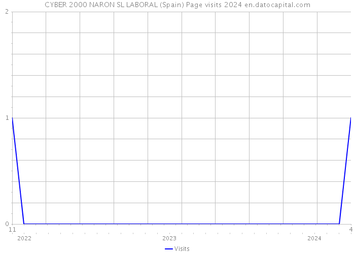 CYBER 2000 NARON SL LABORAL (Spain) Page visits 2024 