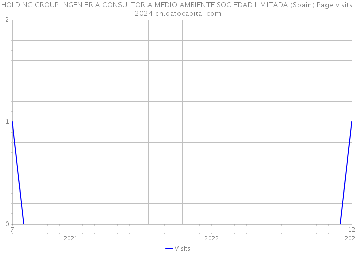 HOLDING GROUP INGENIERIA CONSULTORIA MEDIO AMBIENTE SOCIEDAD LIMITADA (Spain) Page visits 2024 