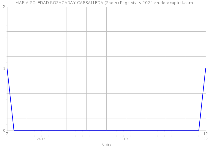 MARIA SOLEDAD ROSAGARAY CARBALLEDA (Spain) Page visits 2024 