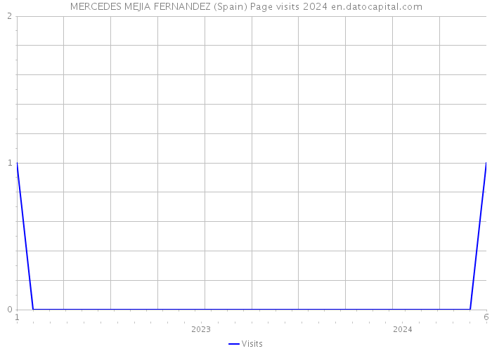 MERCEDES MEJIA FERNANDEZ (Spain) Page visits 2024 