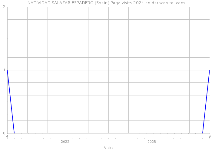 NATIVIDAD SALAZAR ESPADERO (Spain) Page visits 2024 