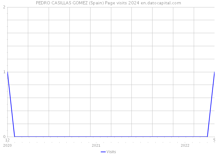 PEDRO CASILLAS GOMEZ (Spain) Page visits 2024 