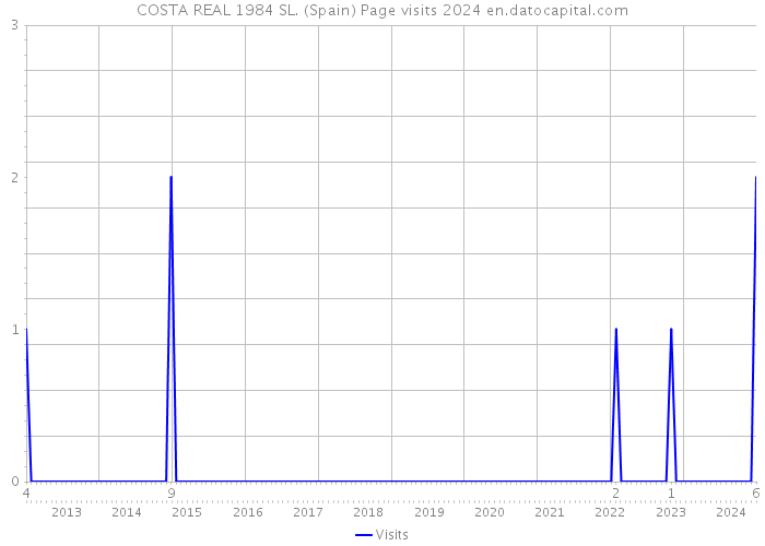 COSTA REAL 1984 SL. (Spain) Page visits 2024 