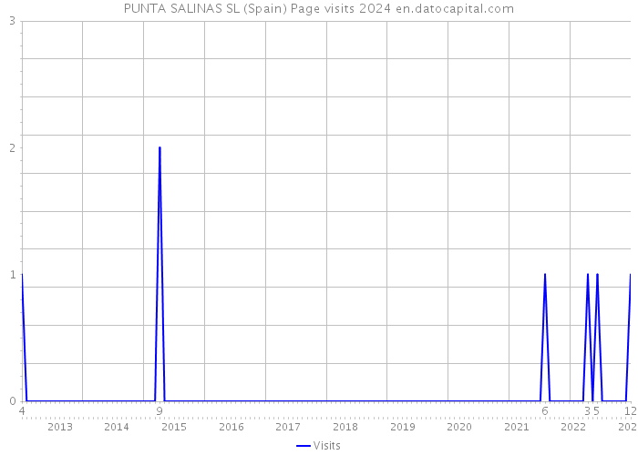 PUNTA SALINAS SL (Spain) Page visits 2024 