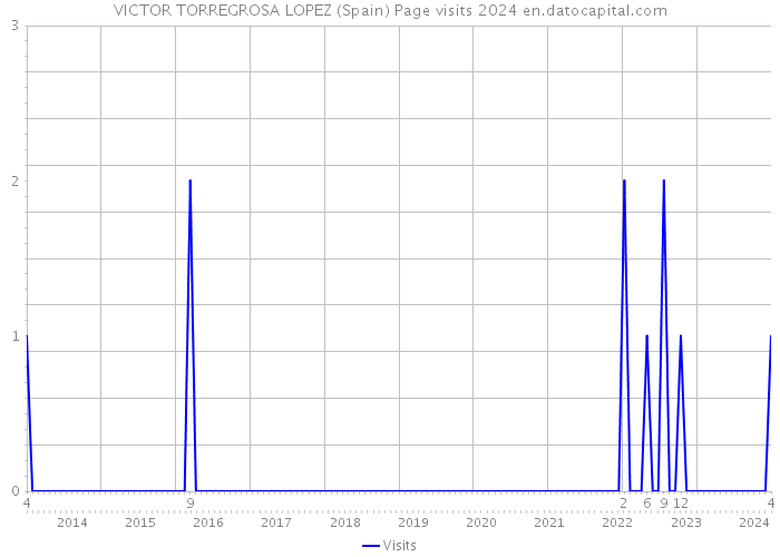 VICTOR TORREGROSA LOPEZ (Spain) Page visits 2024 