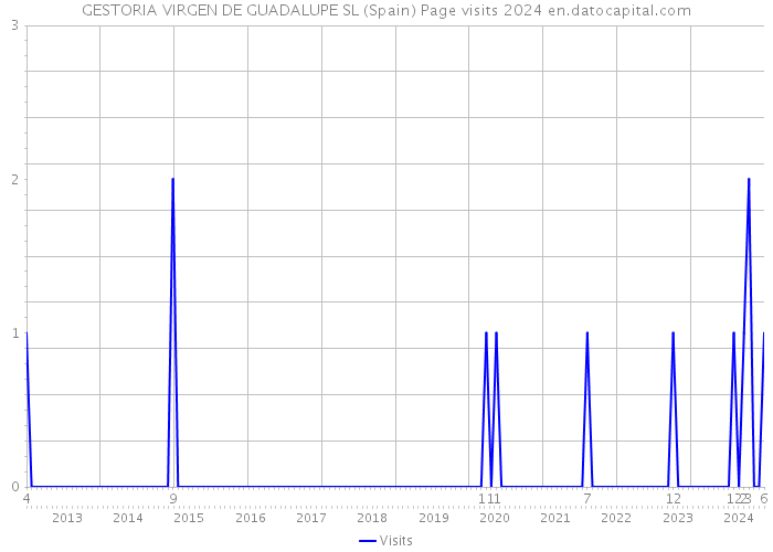GESTORIA VIRGEN DE GUADALUPE SL (Spain) Page visits 2024 