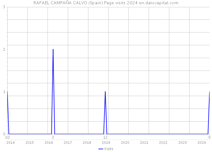 RAFAEL CAMPAÑA CALVO (Spain) Page visits 2024 