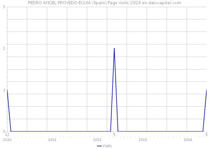 PEDRO ANGEL PROVEDO EGUIA (Spain) Page visits 2024 