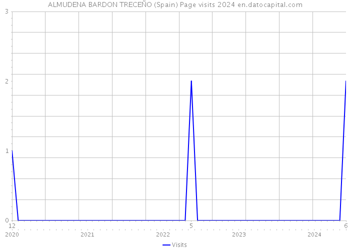 ALMUDENA BARDON TRECEÑO (Spain) Page visits 2024 