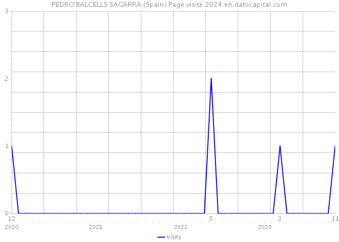 PEDRO BALCELLS SAGARRA (Spain) Page visits 2024 