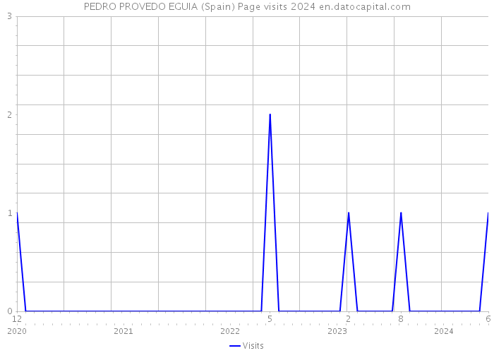 PEDRO PROVEDO EGUIA (Spain) Page visits 2024 