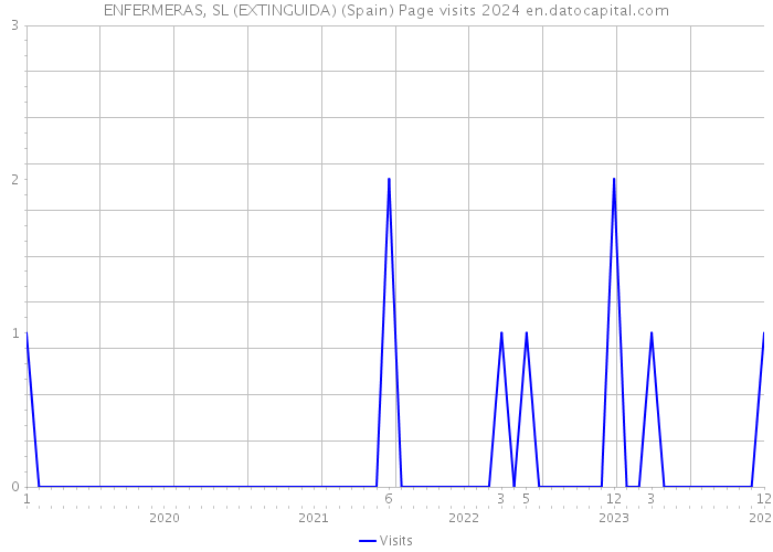 ENFERMERAS, SL (EXTINGUIDA) (Spain) Page visits 2024 