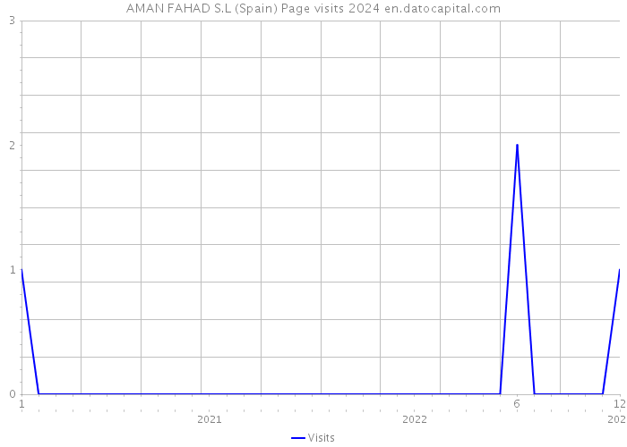 AMAN FAHAD S.L (Spain) Page visits 2024 