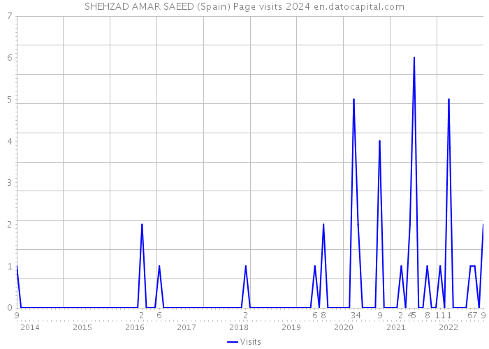 SHEHZAD AMAR SAEED (Spain) Page visits 2024 