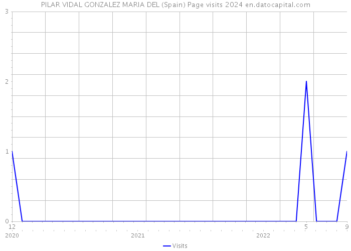 PILAR VIDAL GONZALEZ MARIA DEL (Spain) Page visits 2024 