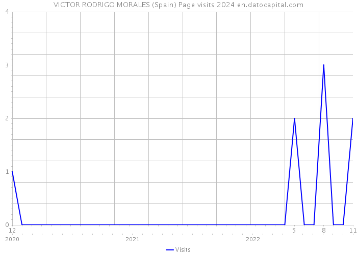VICTOR RODRIGO MORALES (Spain) Page visits 2024 