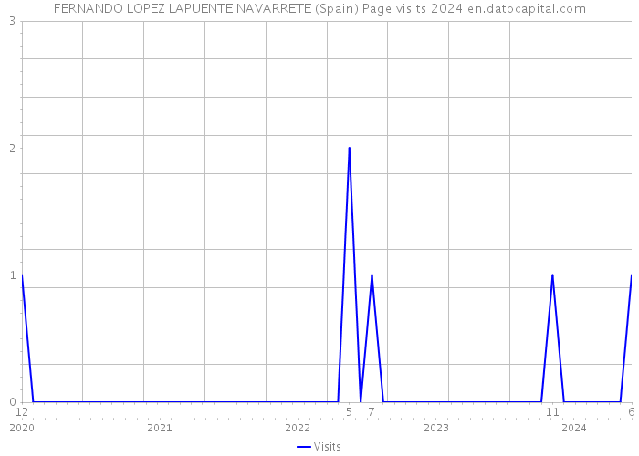 FERNANDO LOPEZ LAPUENTE NAVARRETE (Spain) Page visits 2024 
