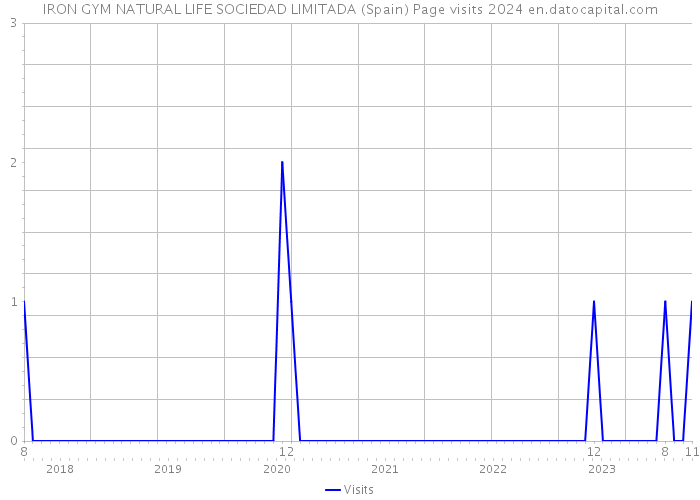 IRON GYM NATURAL LIFE SOCIEDAD LIMITADA (Spain) Page visits 2024 