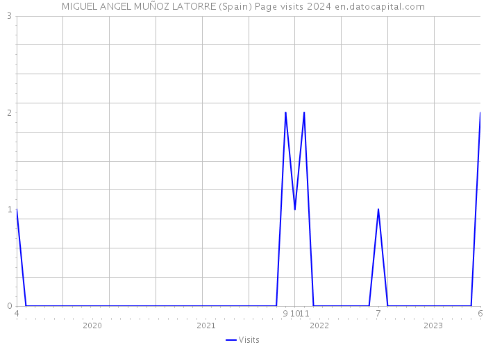 MIGUEL ANGEL MUÑOZ LATORRE (Spain) Page visits 2024 