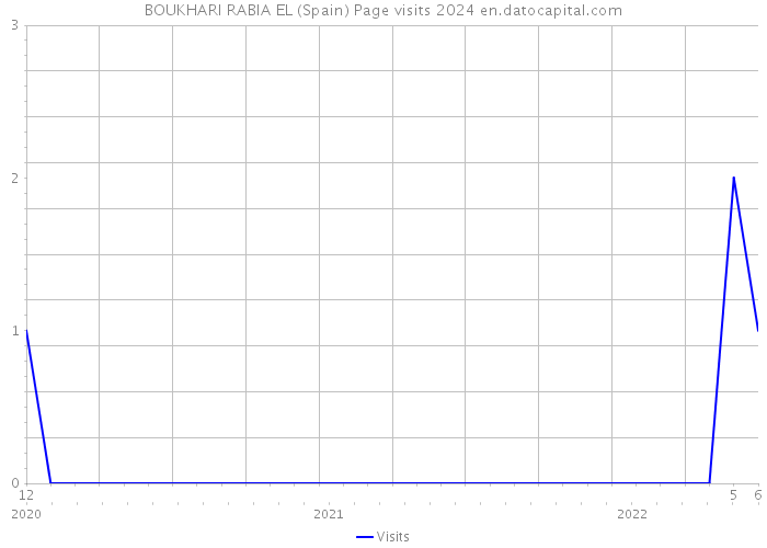 BOUKHARI RABIA EL (Spain) Page visits 2024 