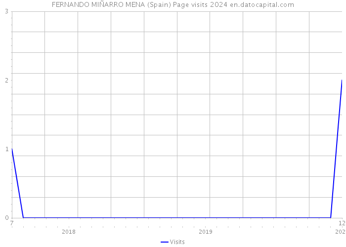 FERNANDO MIÑARRO MENA (Spain) Page visits 2024 