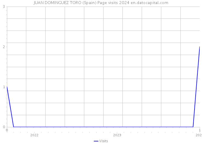 JUAN DOMINGUEZ TORO (Spain) Page visits 2024 
