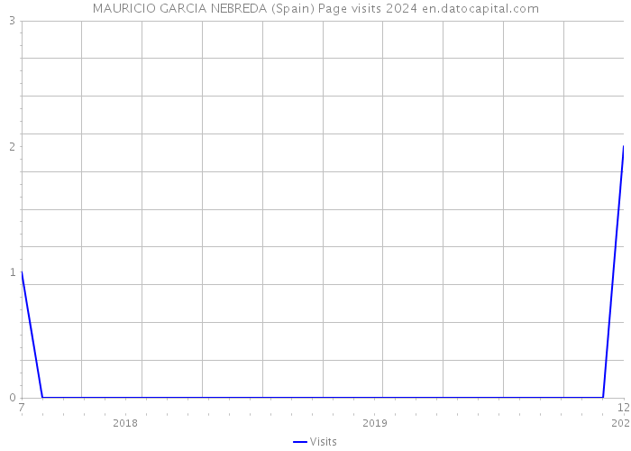 MAURICIO GARCIA NEBREDA (Spain) Page visits 2024 