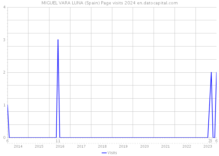 MIGUEL VARA LUNA (Spain) Page visits 2024 