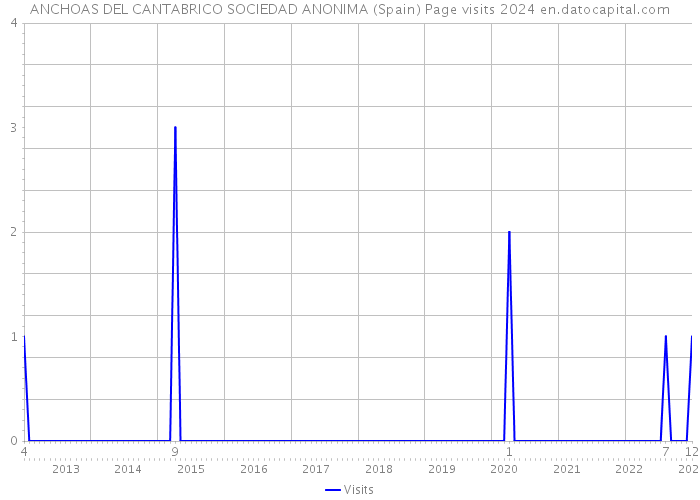 ANCHOAS DEL CANTABRICO SOCIEDAD ANONIMA (Spain) Page visits 2024 
