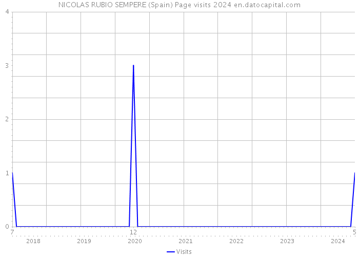 NICOLAS RUBIO SEMPERE (Spain) Page visits 2024 