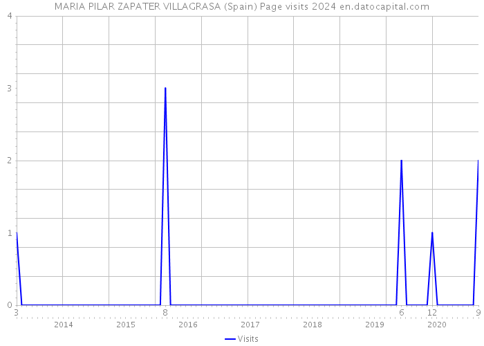 MARIA PILAR ZAPATER VILLAGRASA (Spain) Page visits 2024 