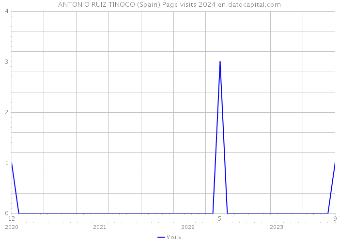 ANTONIO RUIZ TINOCO (Spain) Page visits 2024 