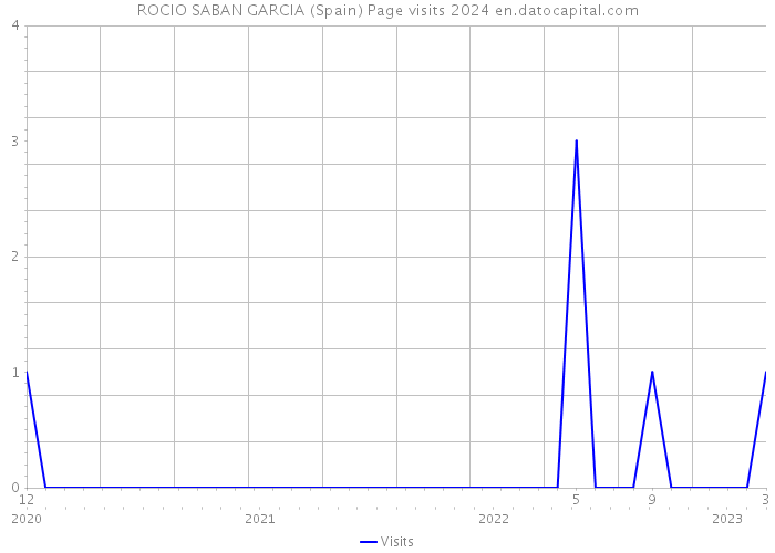 ROCIO SABAN GARCIA (Spain) Page visits 2024 