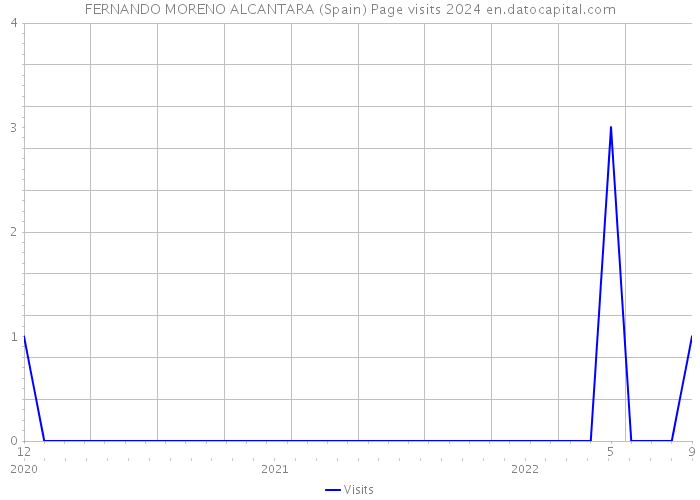 FERNANDO MORENO ALCANTARA (Spain) Page visits 2024 