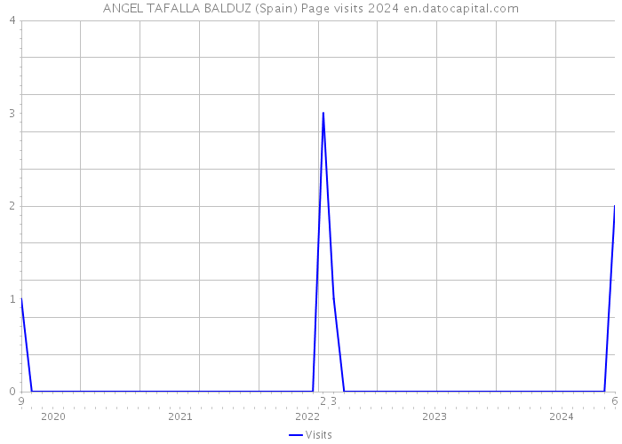 ANGEL TAFALLA BALDUZ (Spain) Page visits 2024 