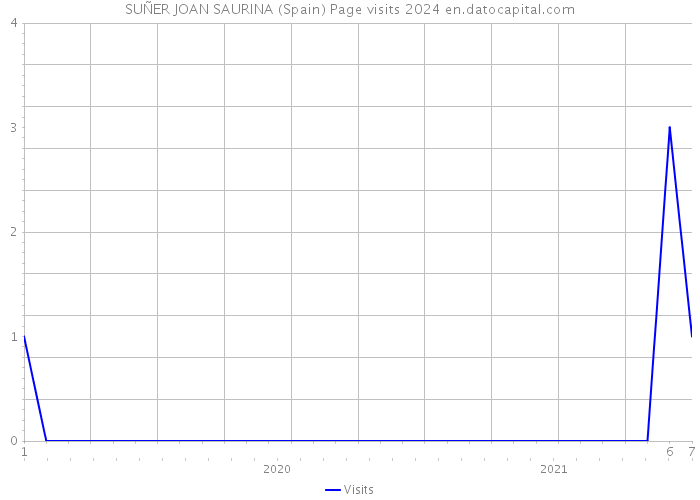 SUÑER JOAN SAURINA (Spain) Page visits 2024 