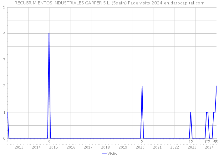 RECUBRIMIENTOS INDUSTRIALES GARPER S.L. (Spain) Page visits 2024 