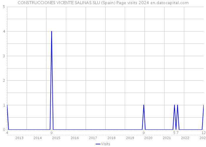 CONSTRUCCIONES VICENTE SALINAS SLU (Spain) Page visits 2024 