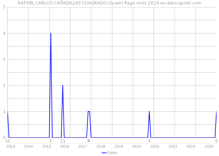 RAFAEL CARLOS CAÑADILLAS CUADRADO (Spain) Page visits 2024 