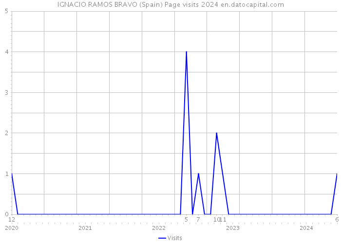 IGNACIO RAMOS BRAVO (Spain) Page visits 2024 