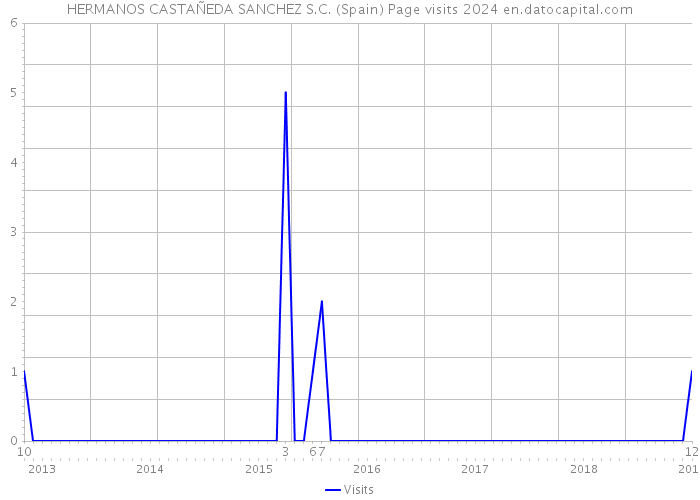 HERMANOS CASTAÑEDA SANCHEZ S.C. (Spain) Page visits 2024 