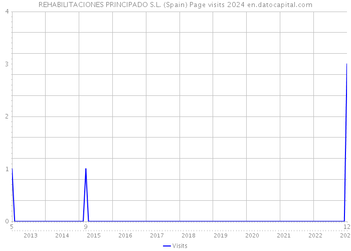 REHABILITACIONES PRINCIPADO S.L. (Spain) Page visits 2024 